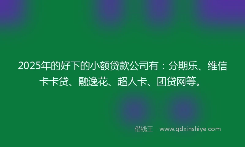 2025年的好下的小额贷款公司有：分期乐、维信卡卡贷、融逸花、超人卡、团贷网等。