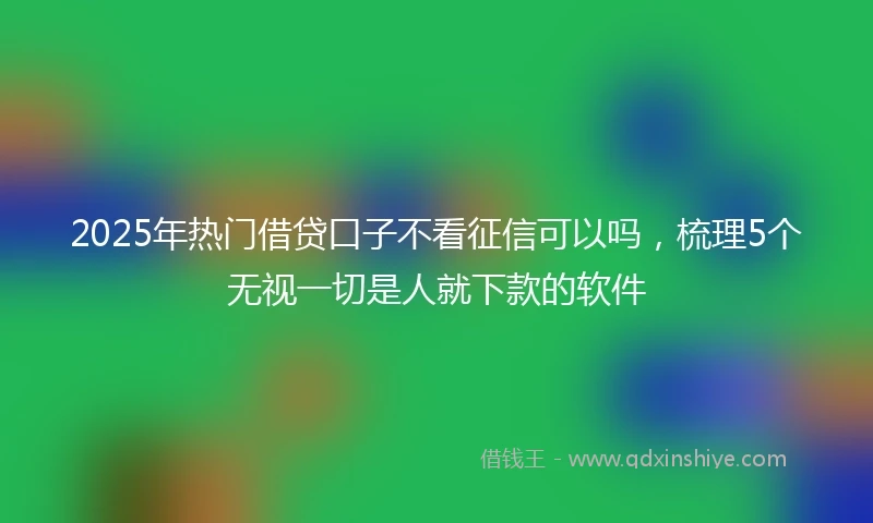 2025年热门借贷口子不看征信可以吗，梳理5个无视一切是人就下款的软件
