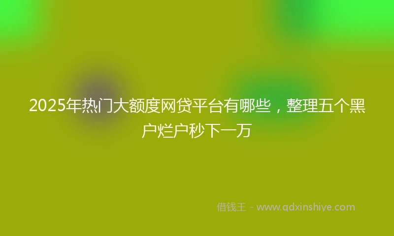 2025年热门大额度网贷平台有哪些，整理五个黑户烂户秒下一万