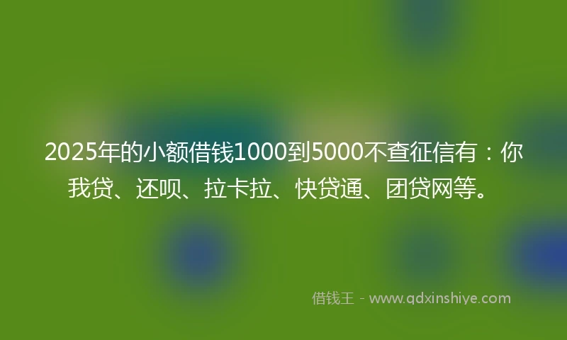 2025年的小额借钱1000到5000不查征信有：你我贷、还呗、拉卡拉、快贷通、团贷网等。