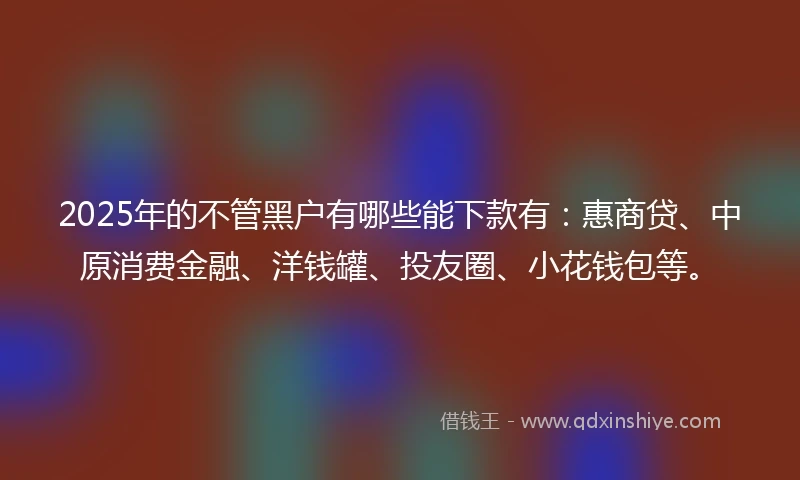 2025年的不管黑户有哪些能下款有：惠商贷、中原消费金融、洋钱罐、投友圈、小花钱包等。