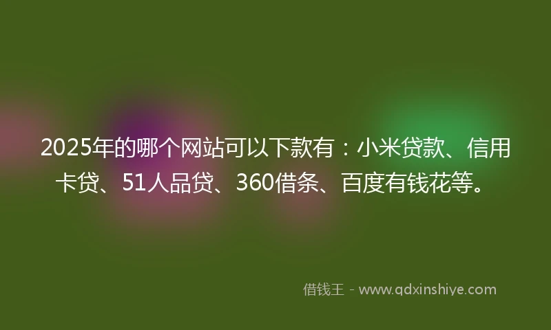 2025年的哪个网站可以下款有：小米贷款、信用卡贷、51人品贷、360借条、百度有钱花等。