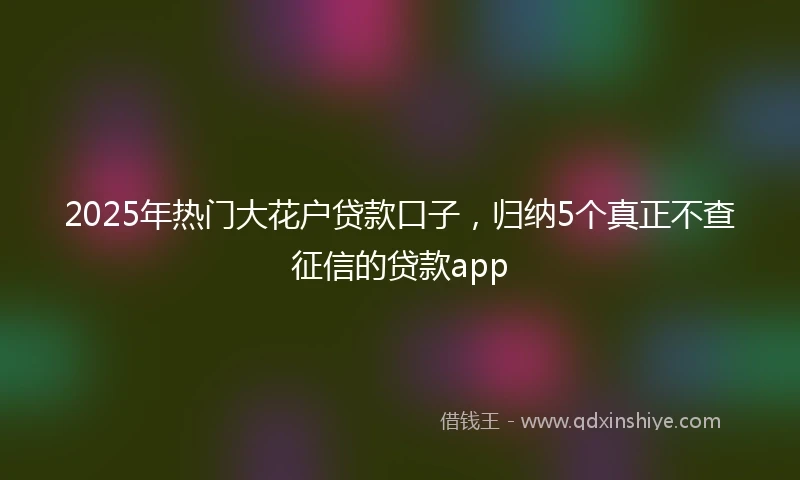 2025年热门大花户贷款口子，归纳5个真正不查征信的贷款app