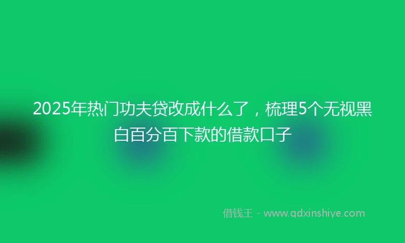 2025年热门功夫贷改成什么了，梳理5个无视黑白百分百下款的借款口子