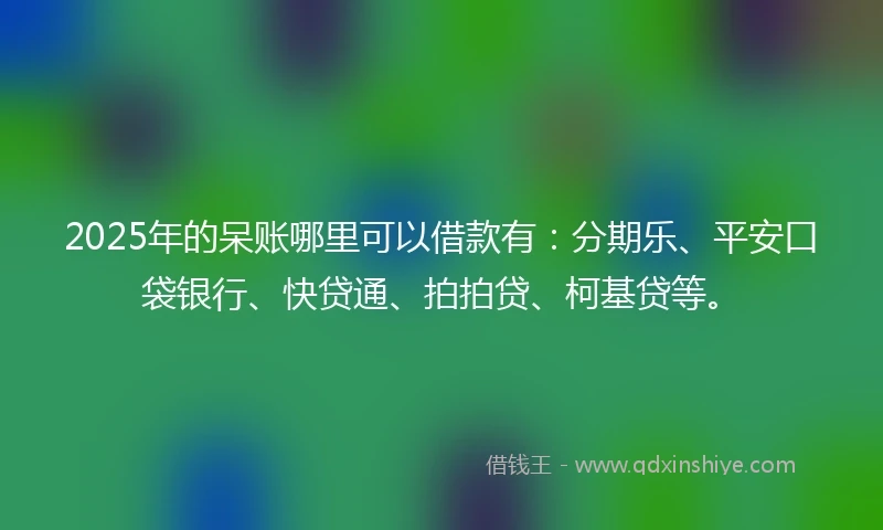 2025年的呆账哪里可以借款有：分期乐、平安口袋银行、快贷通、拍拍贷、柯基贷等。