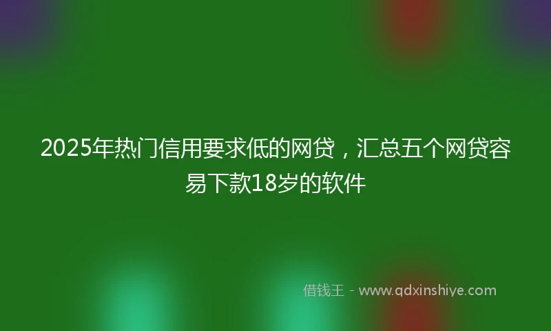 2025年热门信用要求低的网贷，汇总五个网贷容易下款18岁的软件