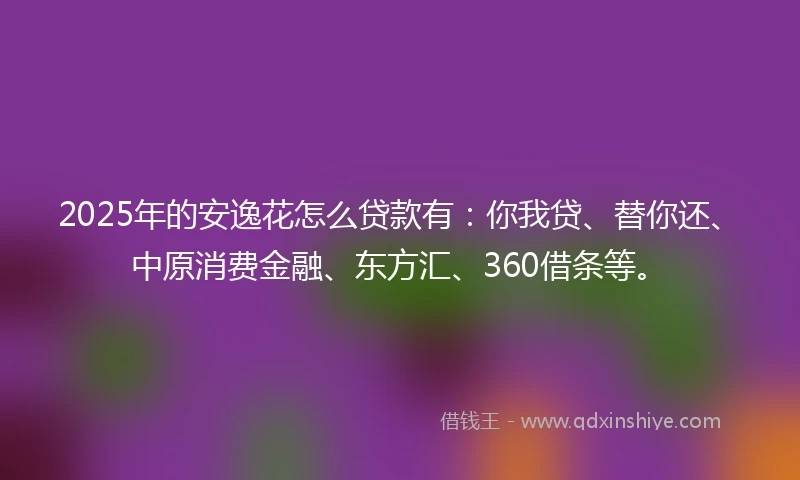 2025年的安逸花怎么贷款有：你我贷、替你还、中原消费金融、东方汇、360借条等。