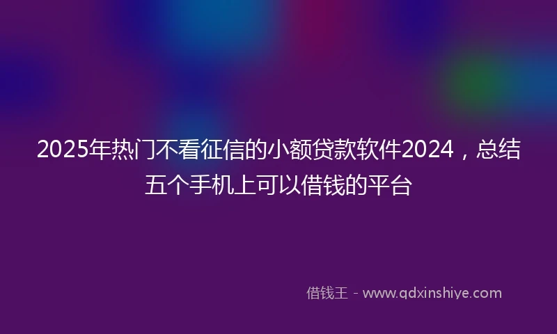 2025年热门不看征信的小额贷款软件2024，总结五个手机上可以借钱的平台