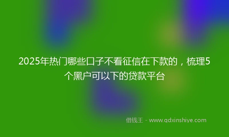 2025年热门哪些口子不看征信在下款的，梳理5个黑户可以下的贷款平台