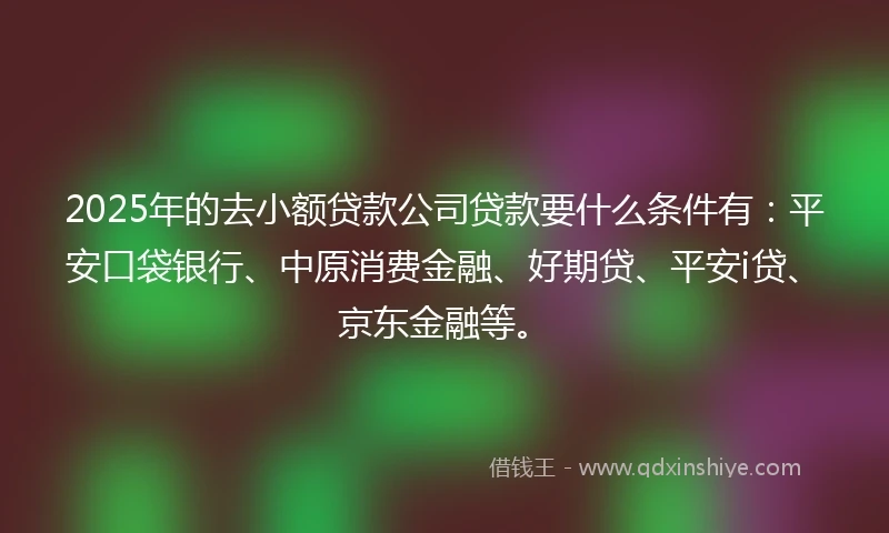 2025年的去小额贷款公司贷款要什么条件有：平安口袋银行、中原消费金融、好期贷、平安i贷、京东金融等。