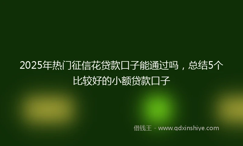 2025年热门征信花贷款口子能通过吗，总结5个比较好的小额贷款口子