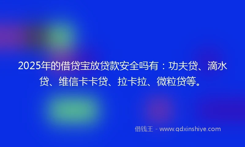 2025年的借贷宝放贷款安全吗有：功夫贷、滴水贷、维信卡卡贷、拉卡拉、微粒贷等。