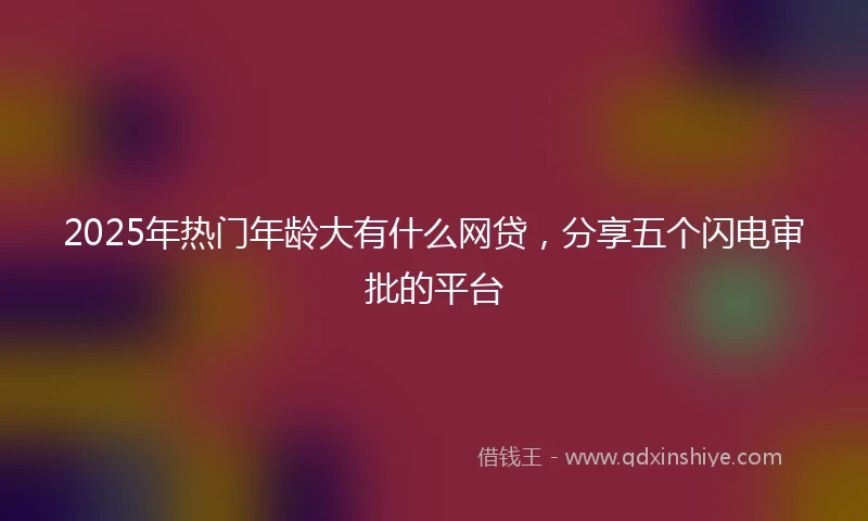 2025年热门年龄大有什么网贷，分享五个闪电审批的平台