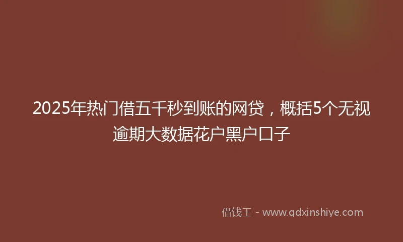 2025年热门借五千秒到账的网贷，概括5个无视逾期大数据花户黑户口子