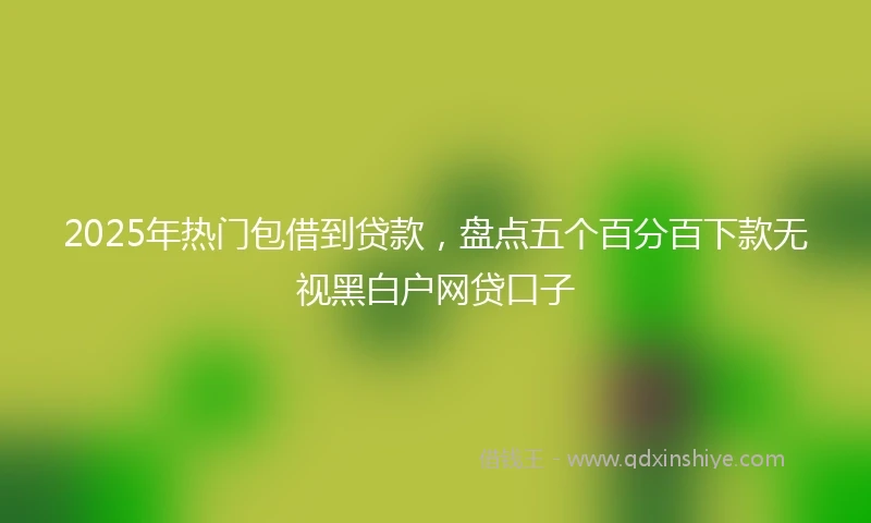 2025年热门包借到贷款，盘点五个百分百下款无视黑白户网贷口子