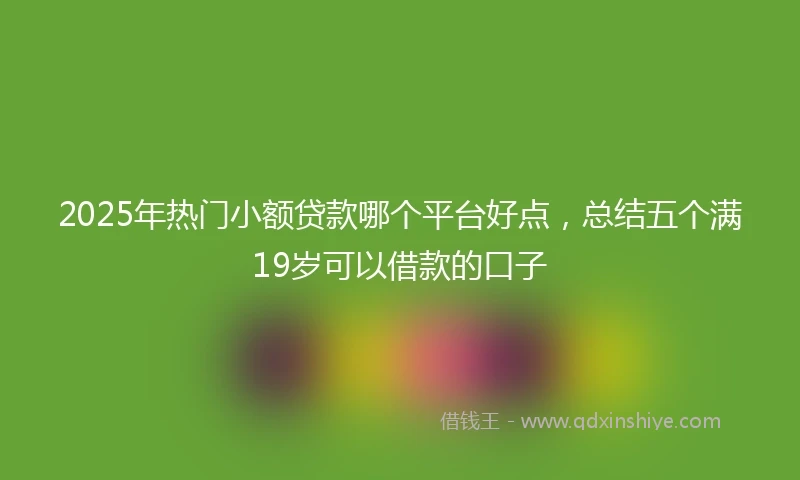 2025年热门小额贷款哪个平台好点，总结五个满19岁可以借款的口子