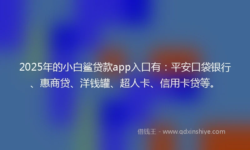 2025年的小白鲨贷款app入口有：平安口袋银行、惠商贷、洋钱罐、超人卡、信用卡贷等。