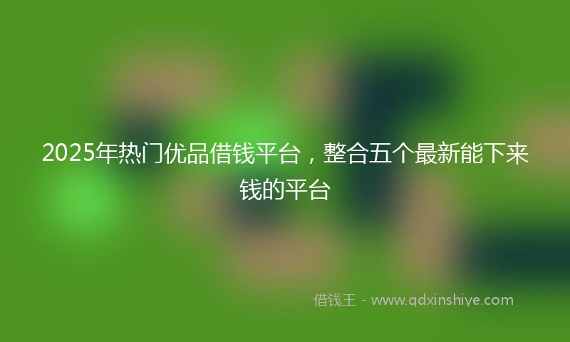 2025年热门优品借钱平台，整合五个最新能下来钱的平台