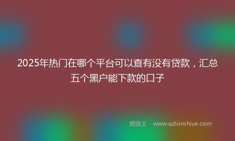 2025年热门在哪个平台可以查有没有贷款，汇总五个黑户能下款的口子