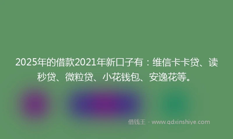 2025年的借款2021年新口子有：维信卡卡贷、读秒贷、微粒贷、小花钱包、安逸花等。