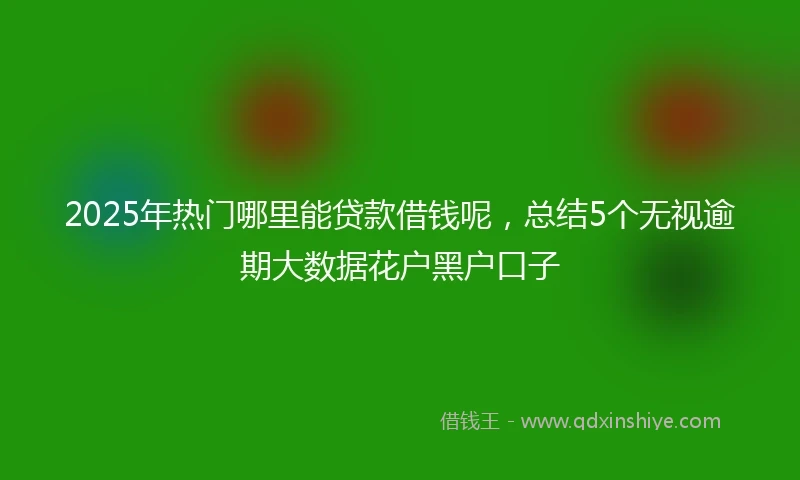 2025年热门哪里能贷款借钱呢，总结5个无视逾期大数据花户黑户口子
