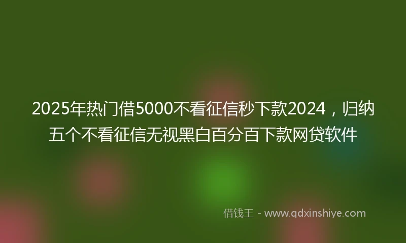 2025年热门借5000不看征信秒下款2024，归纳五个不看征信无视黑白百分百下款网贷软件