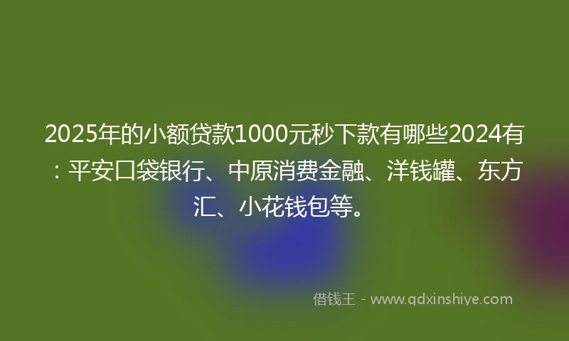 2025年的小额贷款1000元秒下款有哪些2024有：平安口袋银行、中原消费金融、洋钱罐、东方汇、小花钱包等。