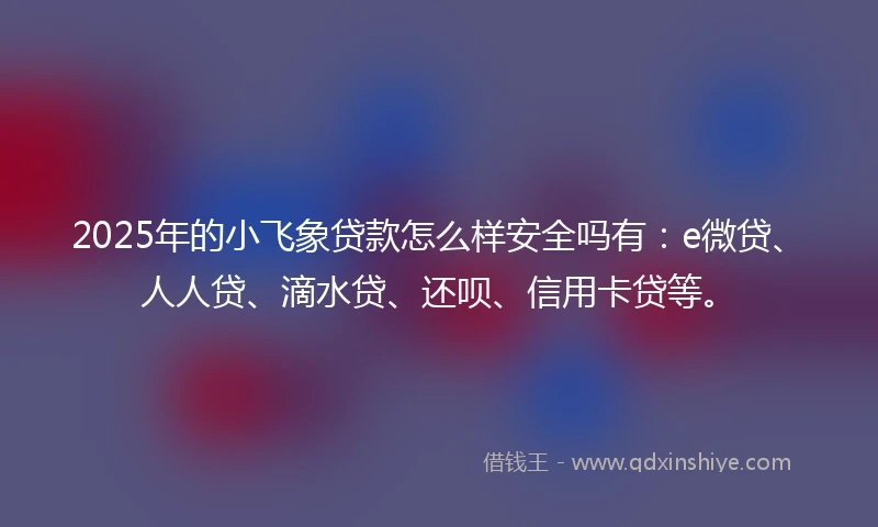 2025年的小飞象贷款怎么样安全吗有：e微贷、人人贷、滴水贷、还呗、信用卡贷等。