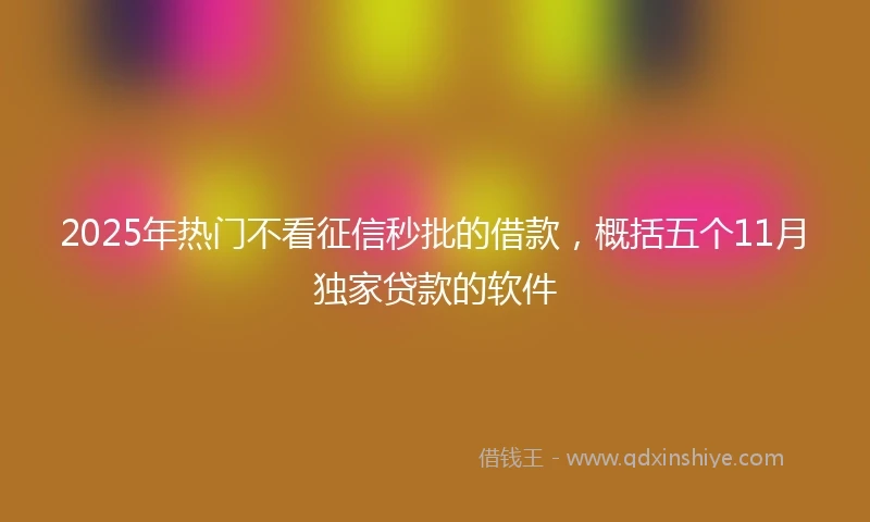 2025年热门不看征信秒批的借款，概括五个11月独家贷款的软件