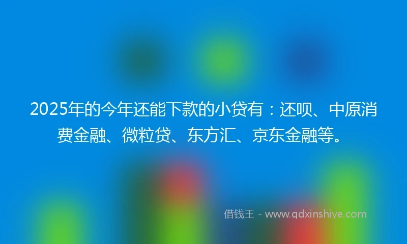 2025年的今年还能下款的小贷有：还呗、中原消费金融、微粒贷、东方汇、京东金融等。