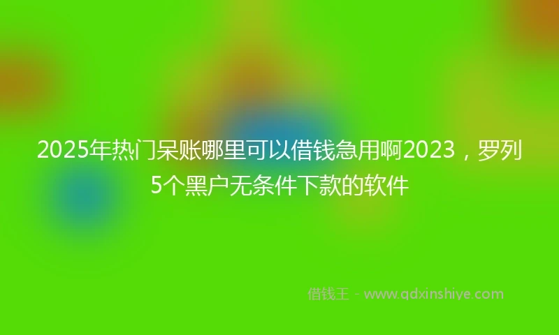 2025年热门呆账哪里可以借钱急用啊2023，罗列5个黑户无条件下款的软件