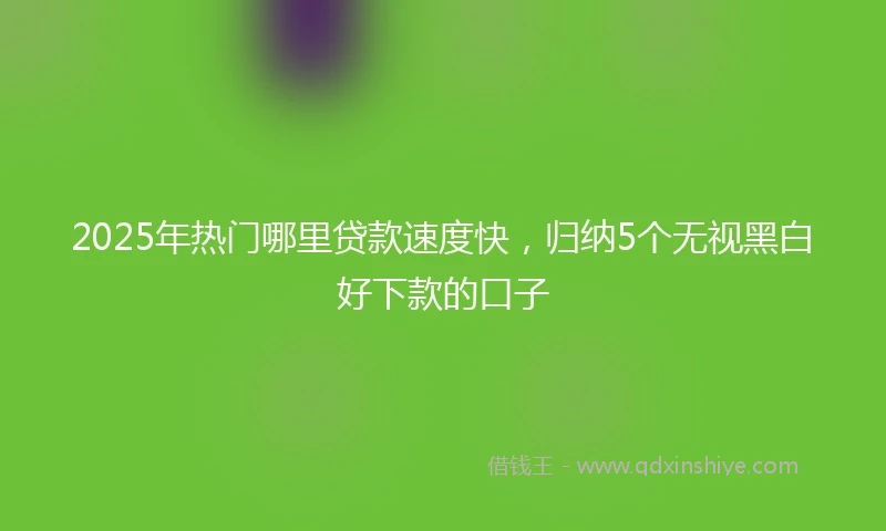 2025年热门哪里贷款速度快，归纳5个无视黑白好下款的口子