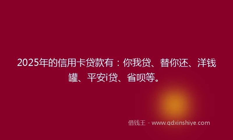 2025年的信用卡贷款有：你我贷、替你还、洋钱罐、平安i贷、省呗等。