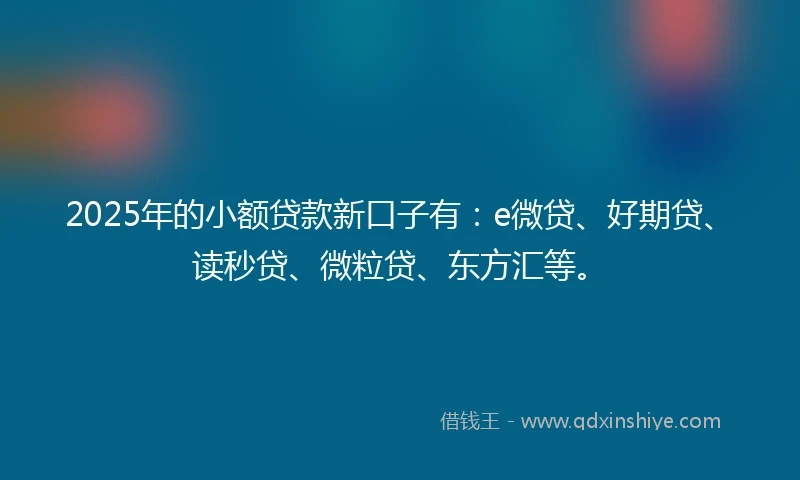 2025年的小额贷款新口子有：e微贷、好期贷、读秒贷、微粒贷、东方汇等。