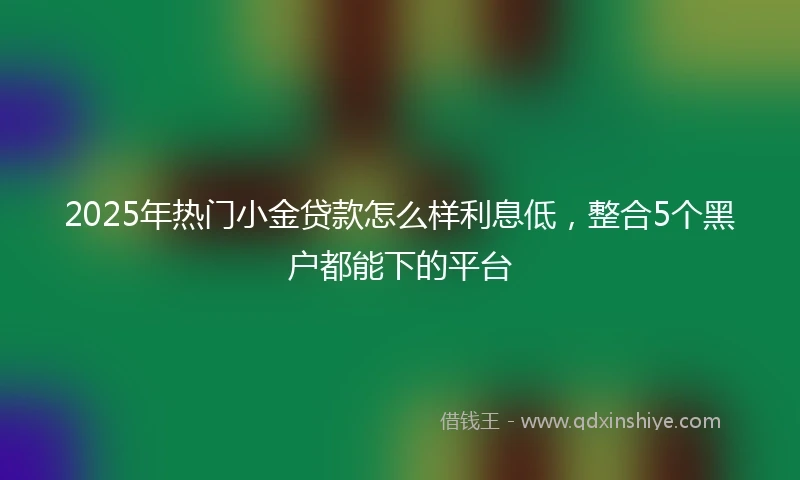 2025年热门小金贷款怎么样利息低，整合5个黑户都能下的平台