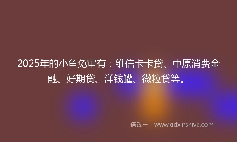 2025年的小鱼免审有：维信卡卡贷、中原消费金融、好期贷、洋钱罐、微粒贷等。