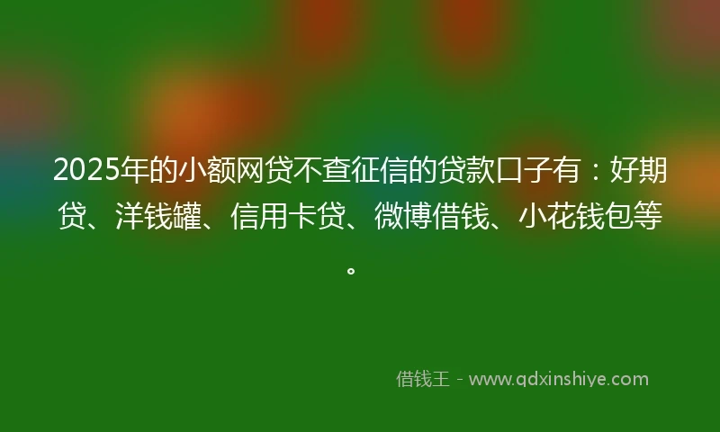 2025年的小额网贷不查征信的贷款口子有：好期贷、洋钱罐、信用卡贷、微博借钱、小花钱包等。