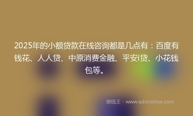 2025年的小额贷款在线咨询都是几点有：百度有钱花、人人贷、中原消费金融、平安i贷、小花钱包等。