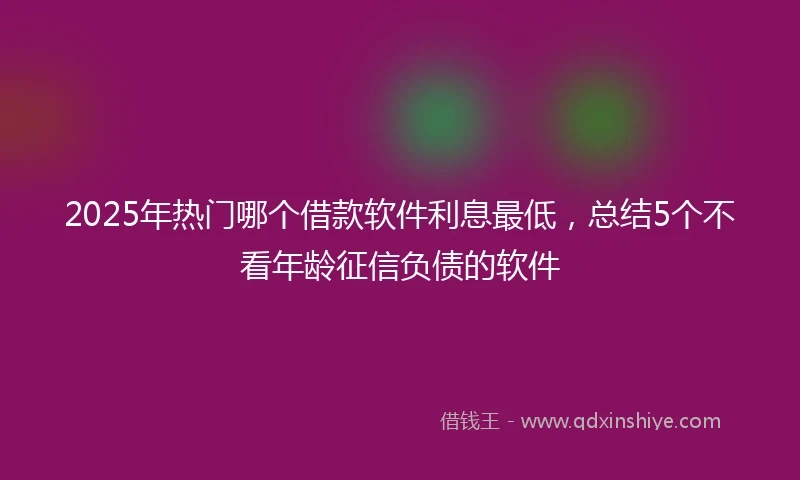 2025年热门哪个借款软件利息最低,总结5个不看年龄征信负债的软件