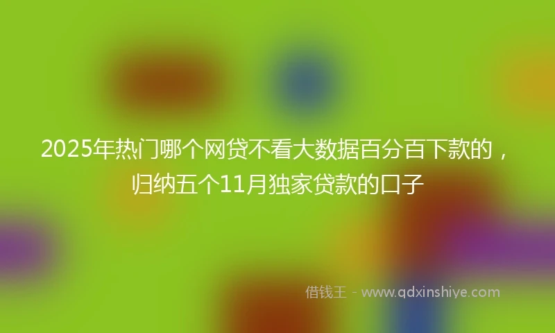 2025年热门哪个网贷不看大数据百分百下款的,归纳五个11月独家贷款的口子