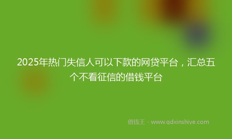 2025年热门失信人可以下款的网贷平台，汇总五个不看征信的借钱平台