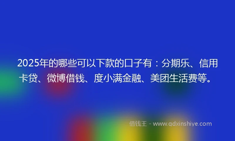 2025年的哪些可以下款的口子有：分期乐、信用卡贷、微博借钱、度小满金融、美团生活费等。