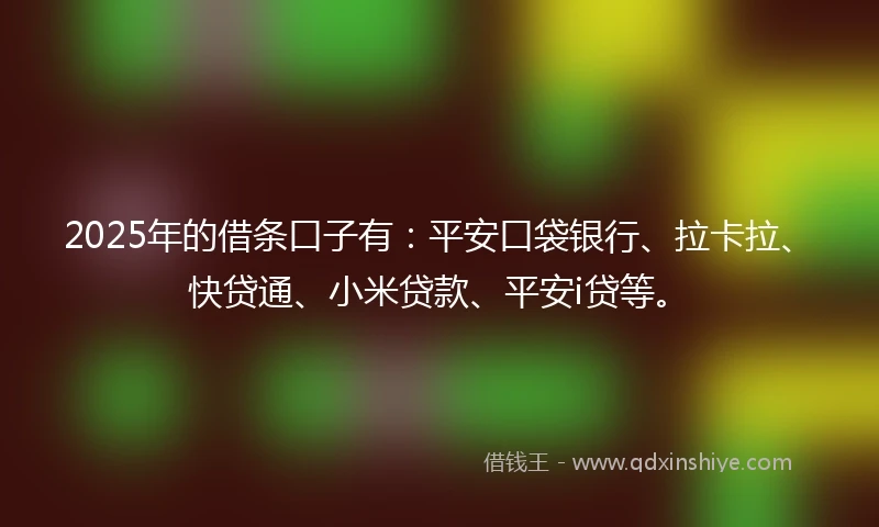 2025年的借条口子有：平安口袋银行、拉卡拉、快贷通、小米贷款、平安i贷等。