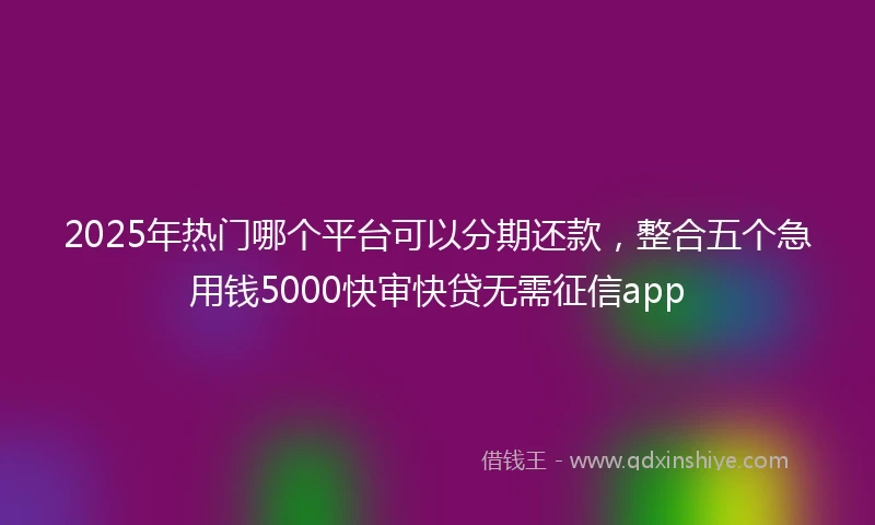 2025年热门哪个平台可以分期还款，整合五个急用钱5000快审快贷无需征信app