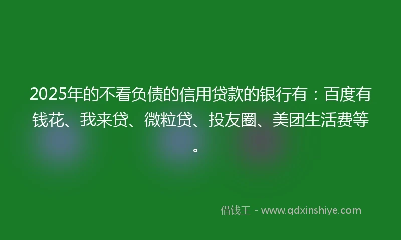 2025年的不看负债的信用贷款的银行有：百度有钱花、我来贷、微粒贷、投友圈、美团生活费等。