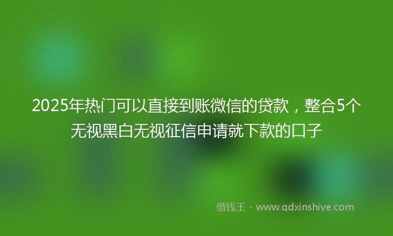 2025年热门可以直接到账微信的贷款，整合5个无视黑白无视征信申请就下款的口子