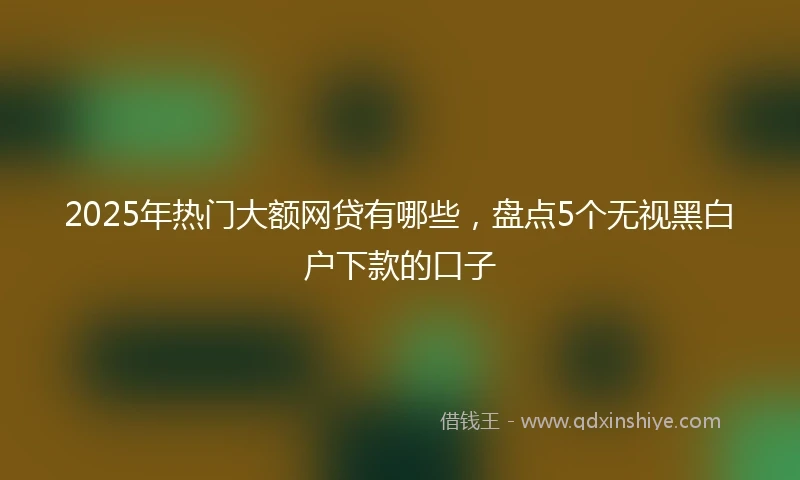 2025年热门大额网贷有哪些，盘点5个无视黑白户下款的口子