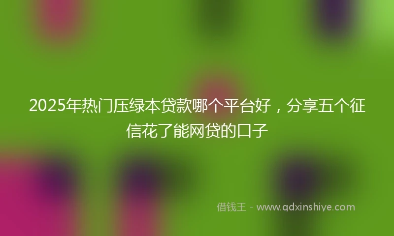 2025年热门压绿本贷款哪个平台好，分享五个征信花了能网贷的口子