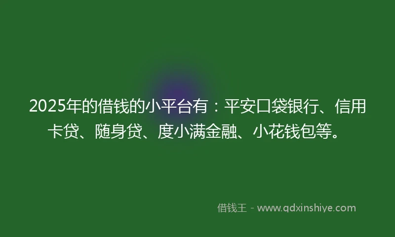 2025年的借钱的小平台有：平安口袋银行、信用卡贷、随身贷、度小满金融、小花钱包等。