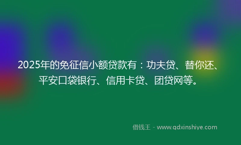 2025年的免征信小额贷款有：功夫贷、替你还、平安口袋银行、信用卡贷、团贷网等。